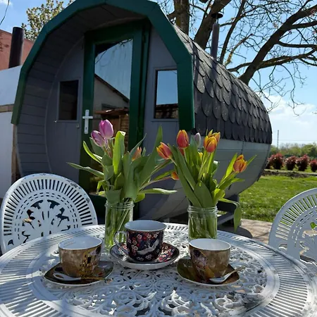 Casa vacanze Vitez - Detached House With Yard And Sauna Siófok